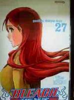 Bleach 27