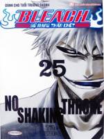 Bleach 25